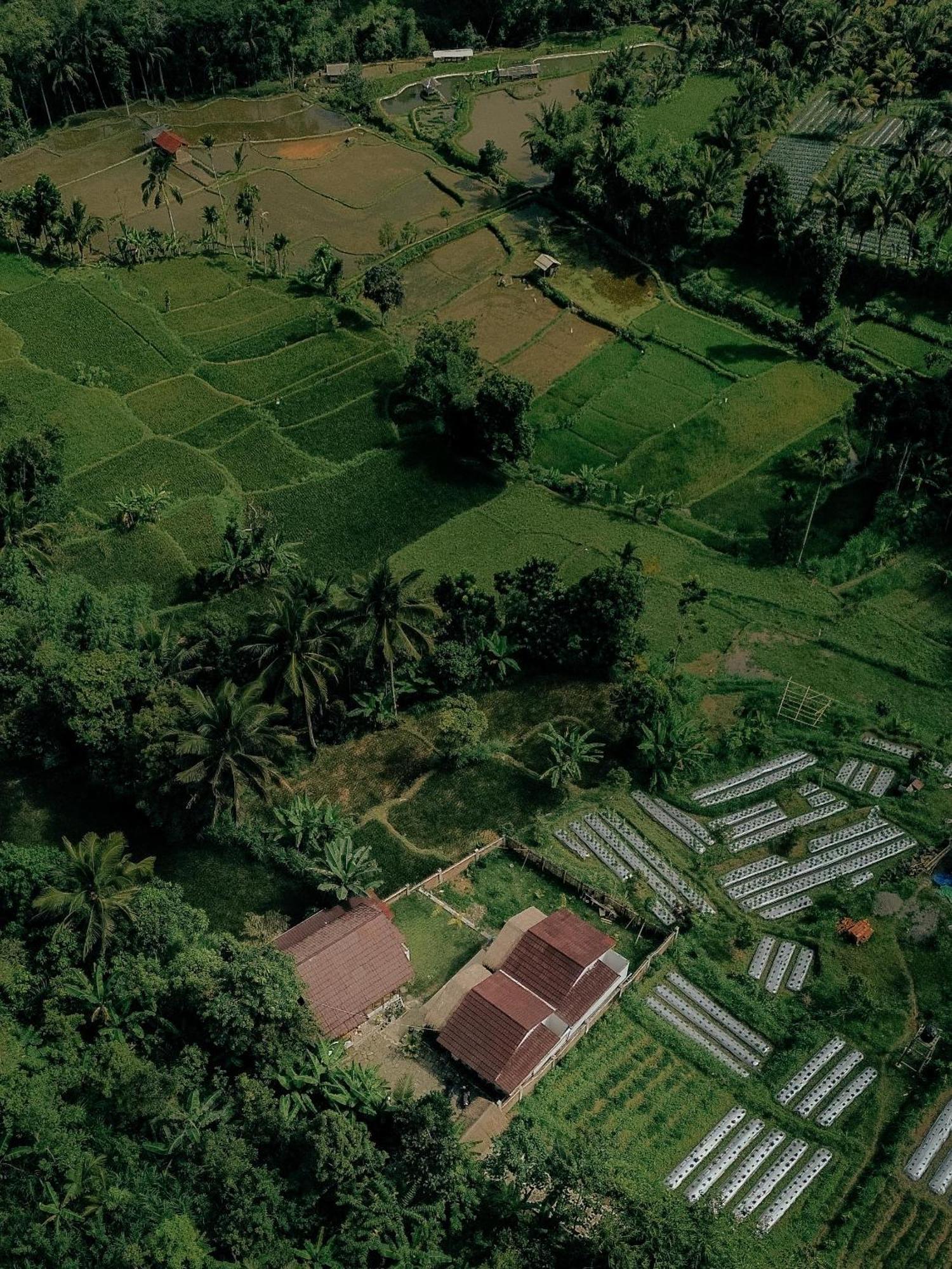 Alora House Lombok Tete Batu Tetebatu Exterior foto