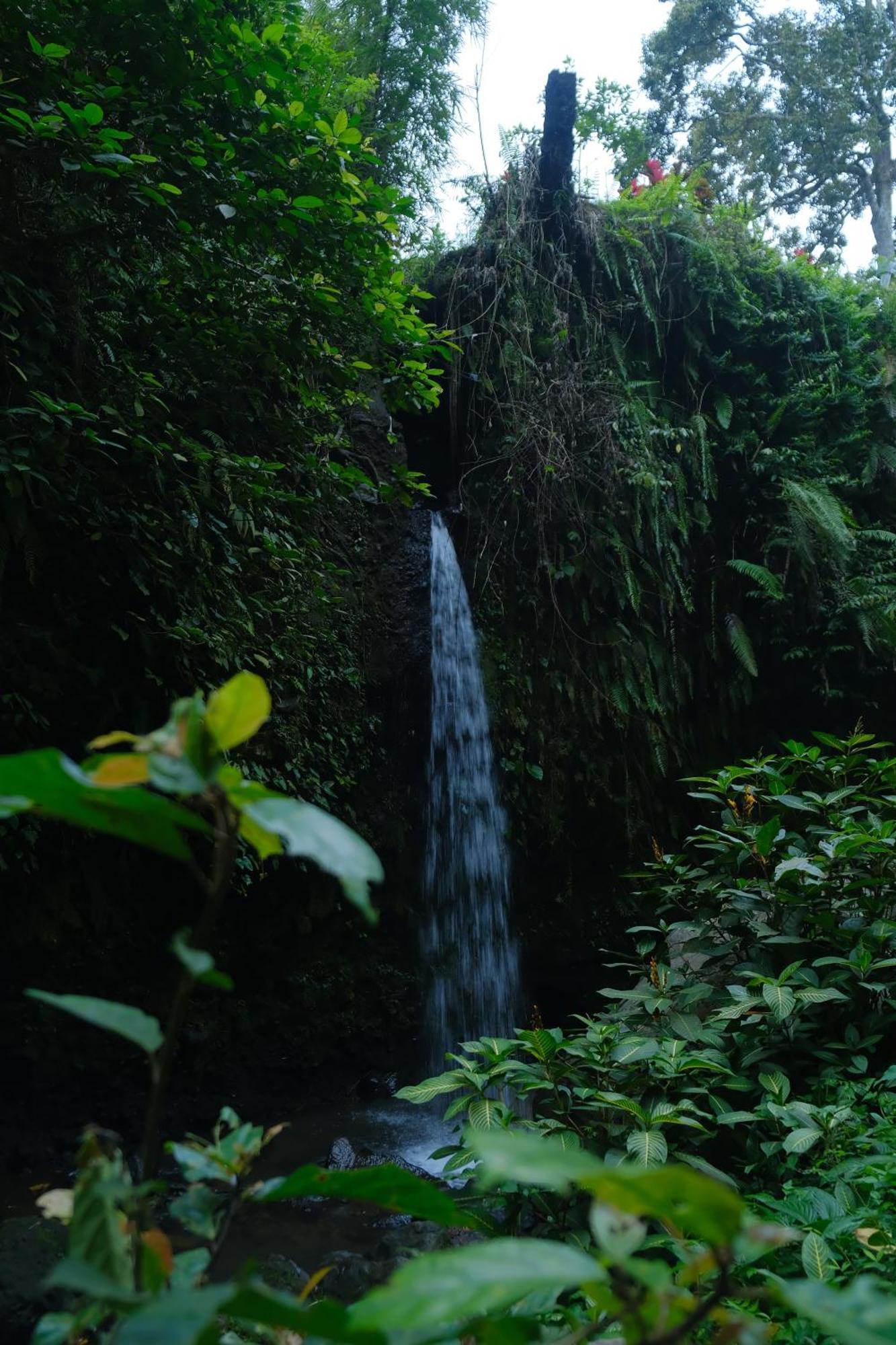 Alora House Lombok Tete Batu Tetebatu Exterior foto